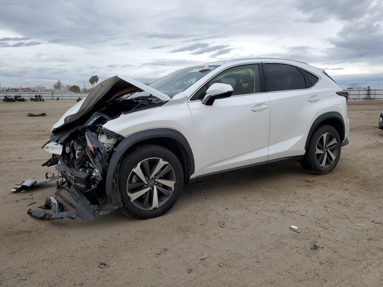 Photo 0 VIN: JTJGARBZ4L2173649 - LEXUS NX 300 