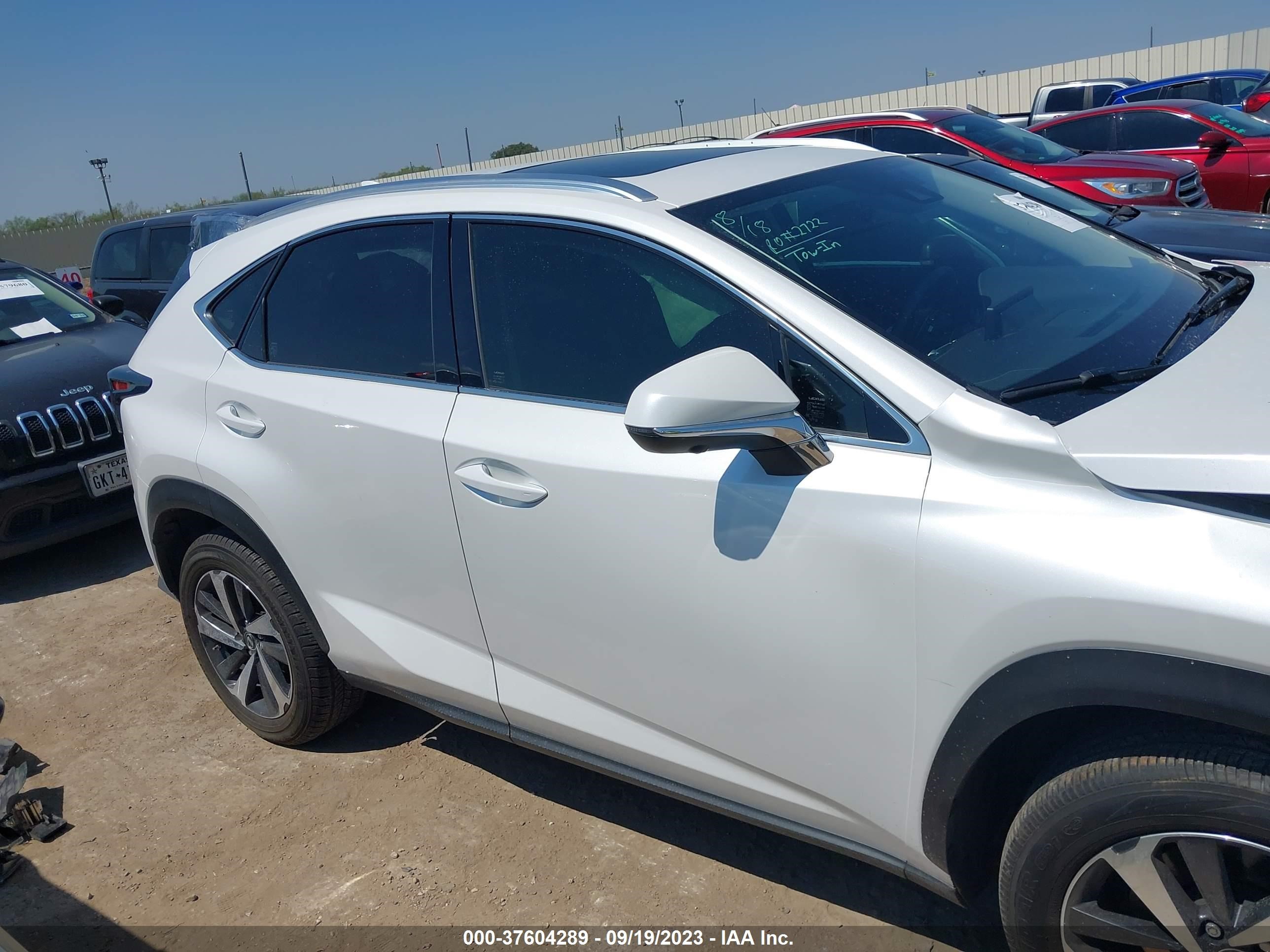 Photo 13 VIN: JTJGARBZ4L5018422 - LEXUS NX 