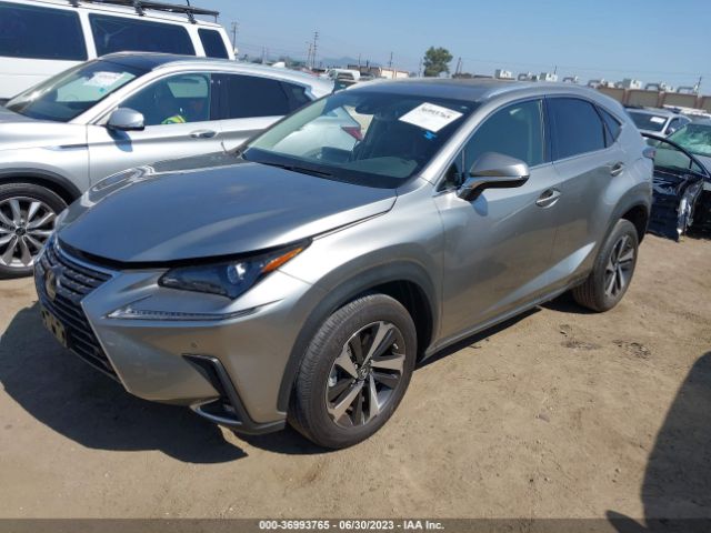 Photo 1 VIN: JTJGARBZ6M2185593 - LEXUS NX 300 