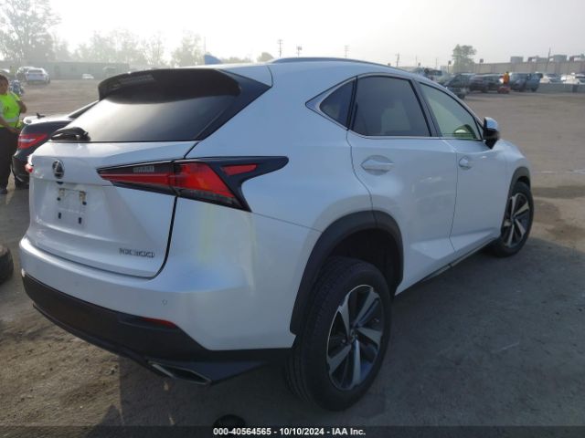 Photo 3 VIN: JTJGARBZ7M5028332 - LEXUS NX 