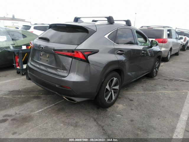 Photo 3 VIN: JTJGARBZ8L2174271 - LEXUS NX 