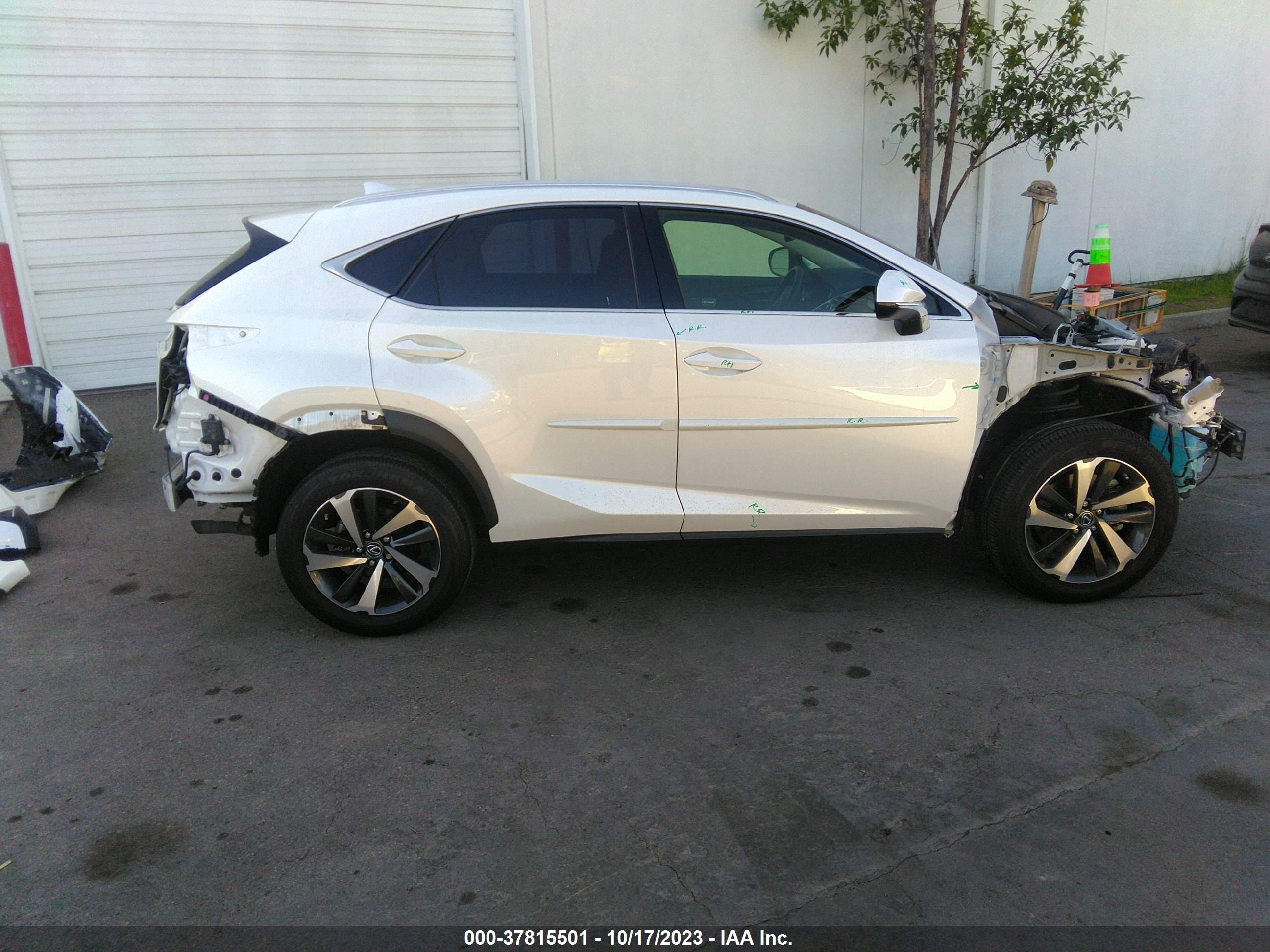 Photo 13 VIN: JTJGARBZXL2174322 - LEXUS NX 