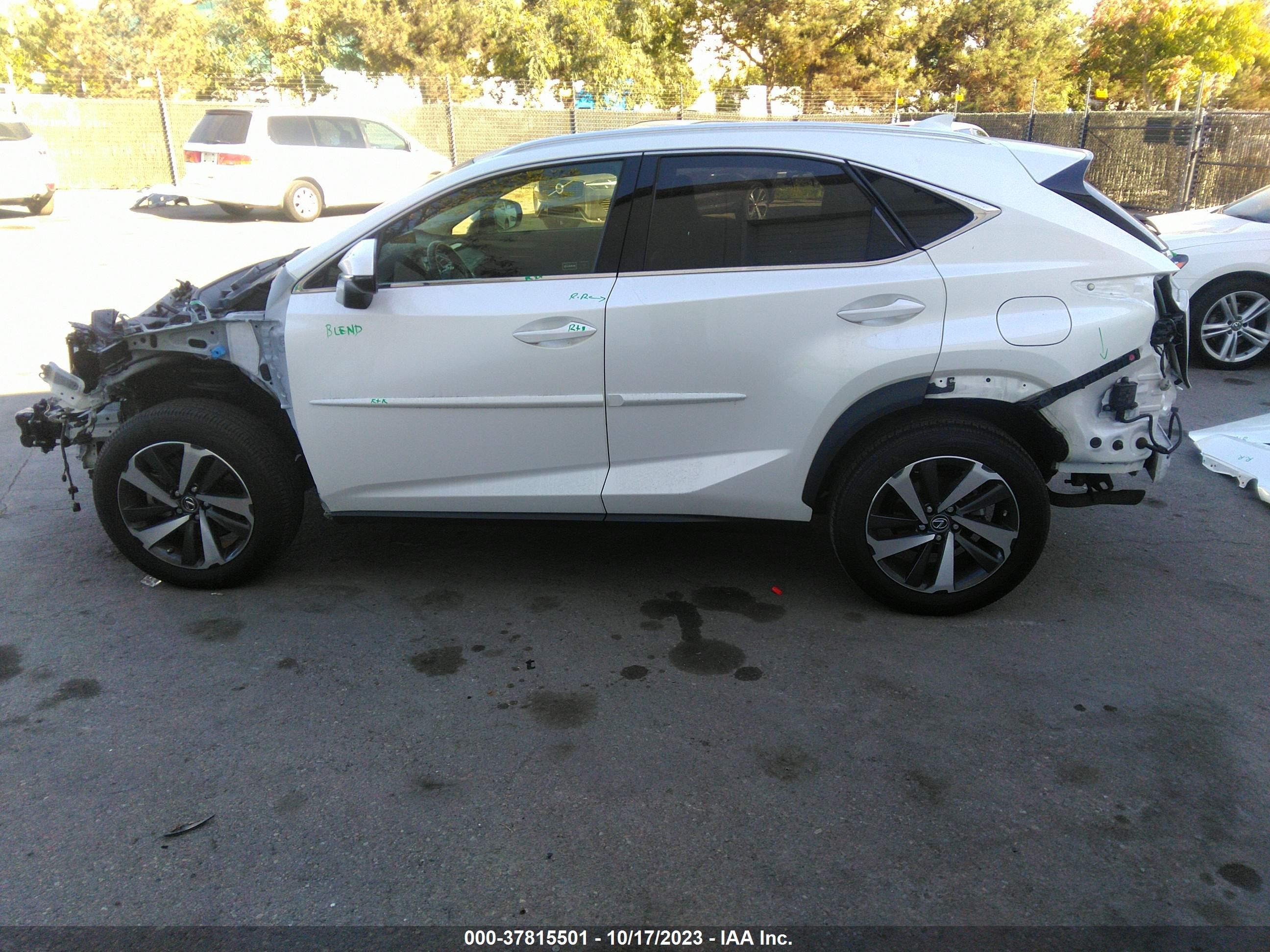 Photo 14 VIN: JTJGARBZXL2174322 - LEXUS NX 