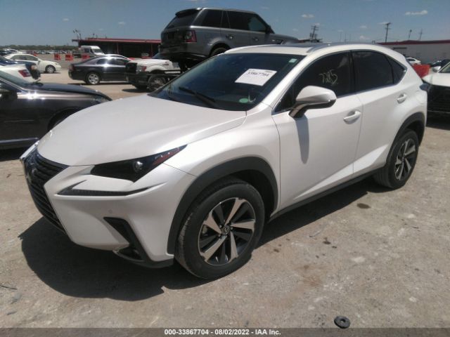 Photo 1 VIN: JTJGARBZXM5025151 - LEXUS NX 