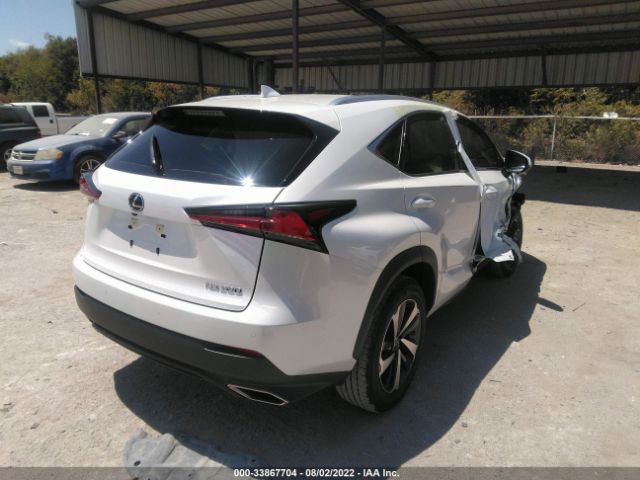 Photo 3 VIN: JTJGARBZXM5025151 - LEXUS NX 