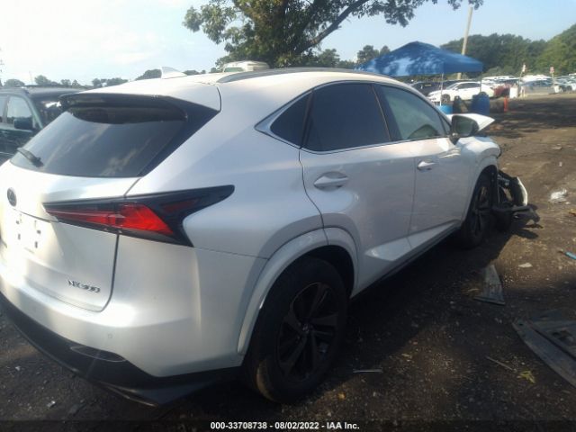 Photo 3 VIN: JTJGARDZ1L2227048 - LEXUS NX 