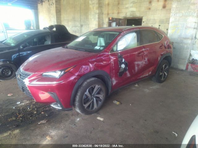 Photo 1 VIN: JTJGARDZ1L5011957 - LEXUS NX 