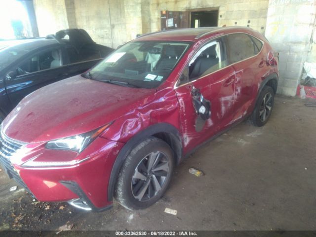 Photo 5 VIN: JTJGARDZ1L5011957 - LEXUS NX 