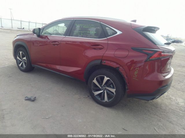 Photo 2 VIN: JTJGARDZ1M5022068 - LEXUS NX 