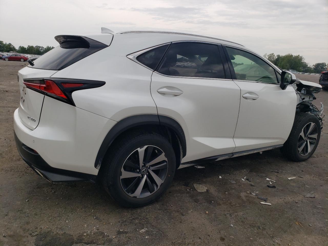 Photo 2 VIN: JTJGARDZ4L2220417 - LEXUS NX 