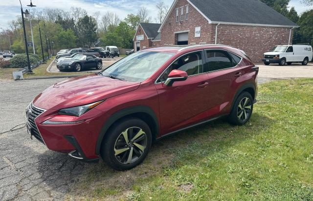 Photo 1 VIN: JTJGARDZ4L5005666 - LEXUS NX 