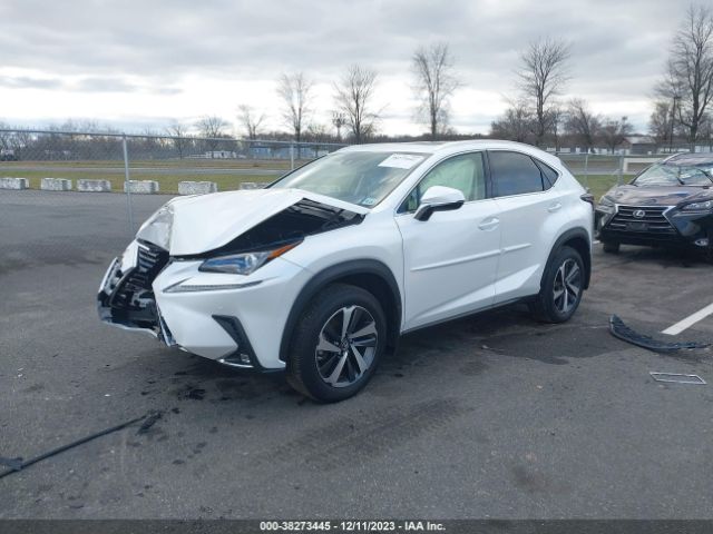 Photo 1 VIN: JTJGARDZ6L5002722 - LEXUS NX 