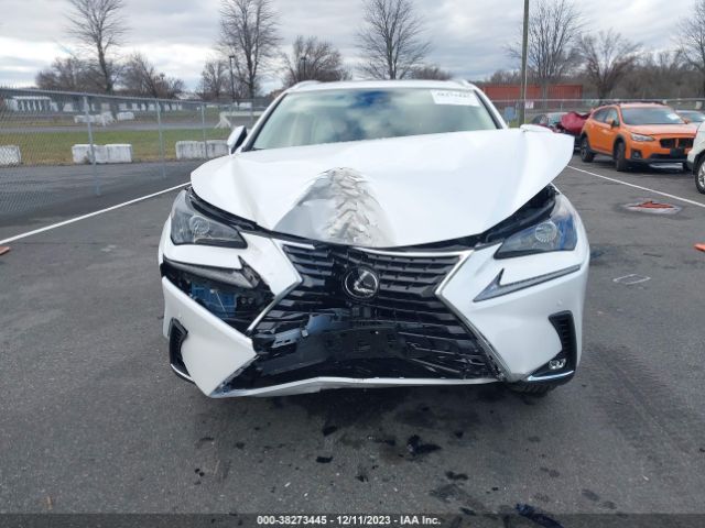 Photo 5 VIN: JTJGARDZ6L5002722 - LEXUS NX 