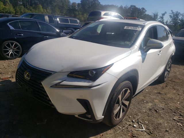 Photo 1 VIN: JTJGARDZ6L5016412 - LEXUS NX 300 