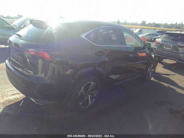 Photo 3 VIN: JTJGARDZ6M2250813 - LEXUS NX 