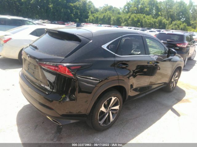 Photo 3 VIN: JTJGARDZ7L2226681 - LEXUS NX 