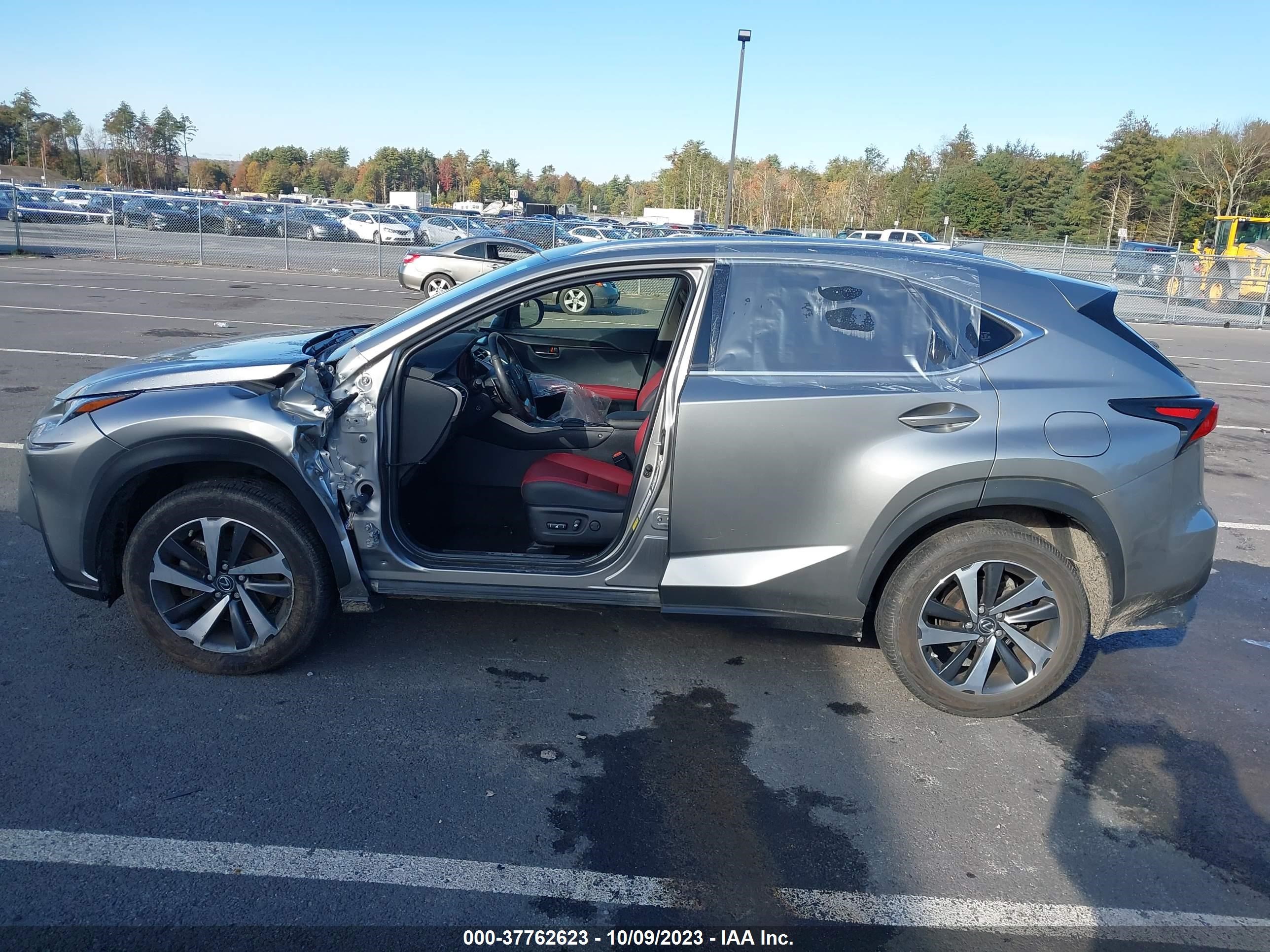 Photo 14 VIN: JTJGARDZ7L2232772 - LEXUS NX 