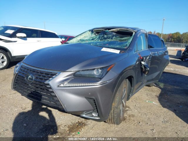 Photo 1 VIN: JTJGARDZ7M2237990 - LEXUS NX 