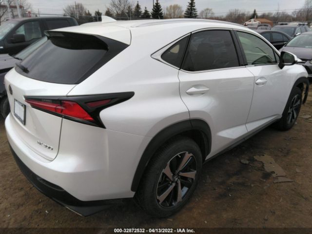 Photo 3 VIN: JTJGARDZ7M5024424 - LEXUS NX 