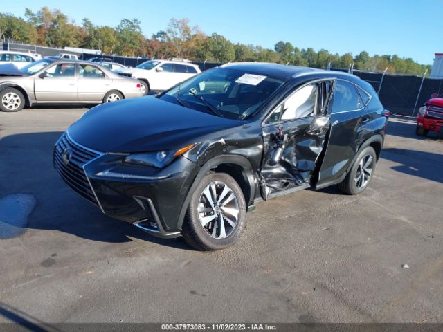 Photo 1 VIN: JTJGARDZ7M5031261 - LEXUS NX 300 