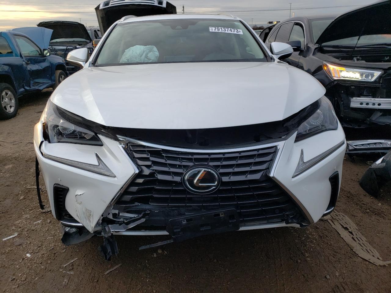 Photo 4 VIN: JTJGARDZ8L5005931 - LEXUS NX 