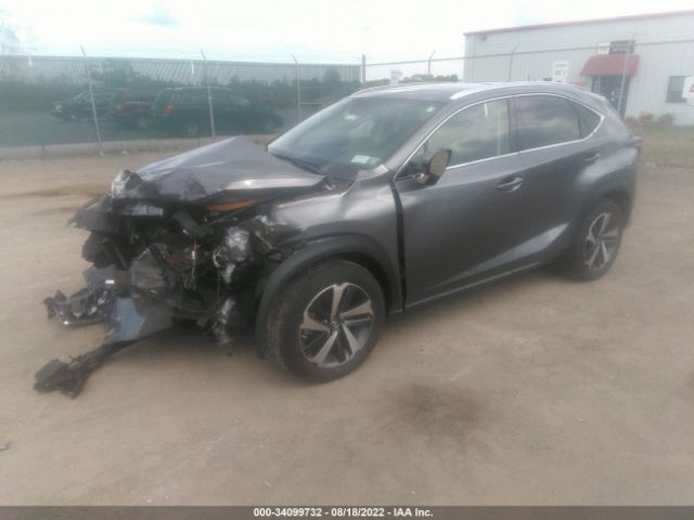 Photo 1 VIN: JTJGARDZ9L2223684 - LEXUS NX 