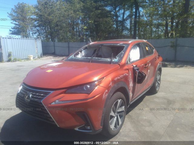 Photo 1 VIN: JTJGARDZ9L2234118 - LEXUS NX 