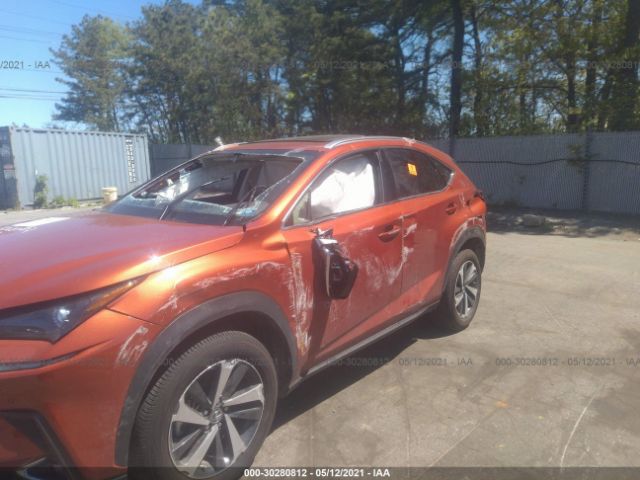 Photo 5 VIN: JTJGARDZ9L2234118 - LEXUS NX 