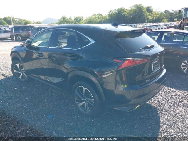 Photo 2 VIN: JTJGARDZ9L5006795 - LEXUS NX 