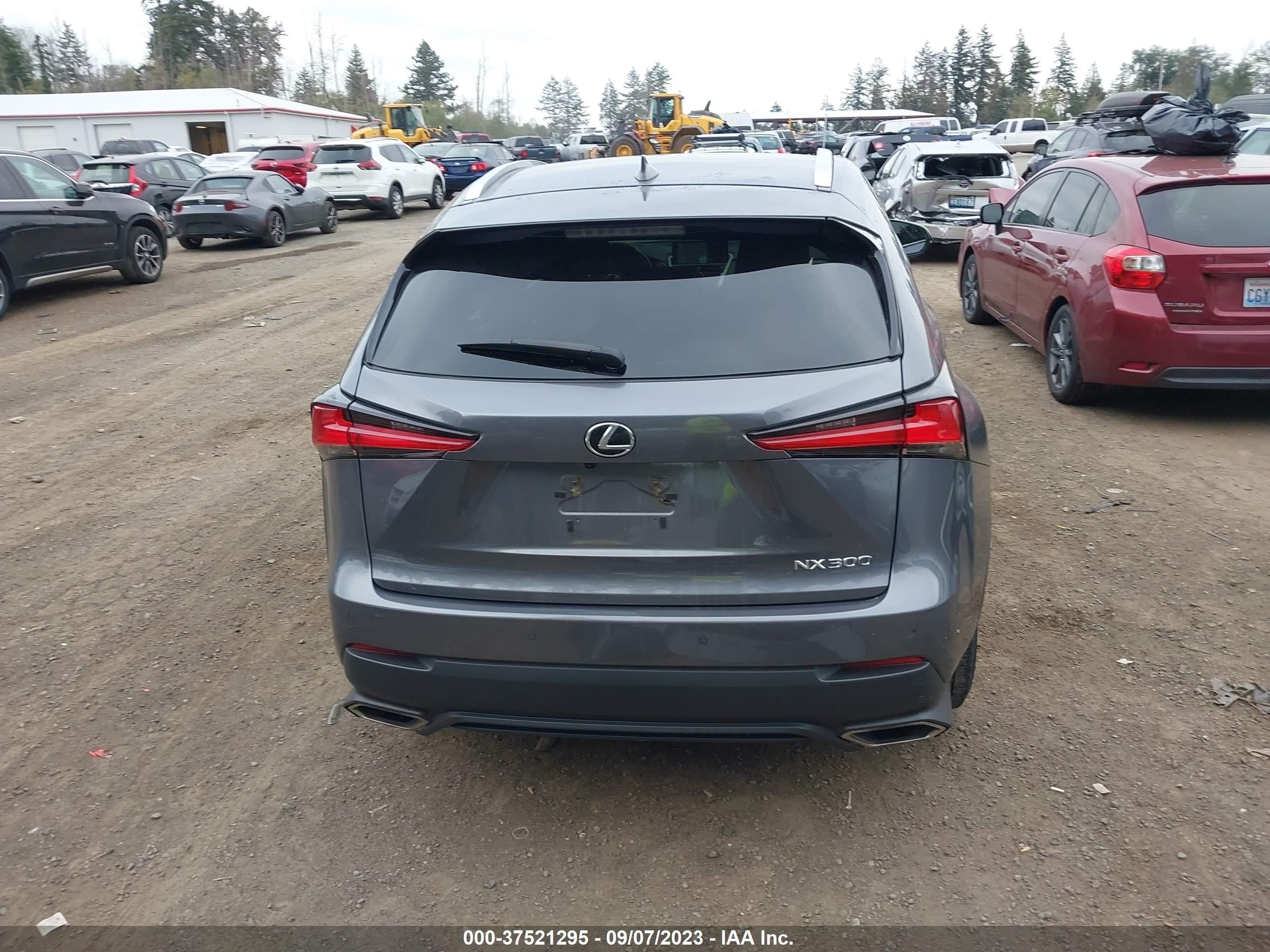 Photo 16 VIN: JTJGARDZXL2230174 - LEXUS NX 