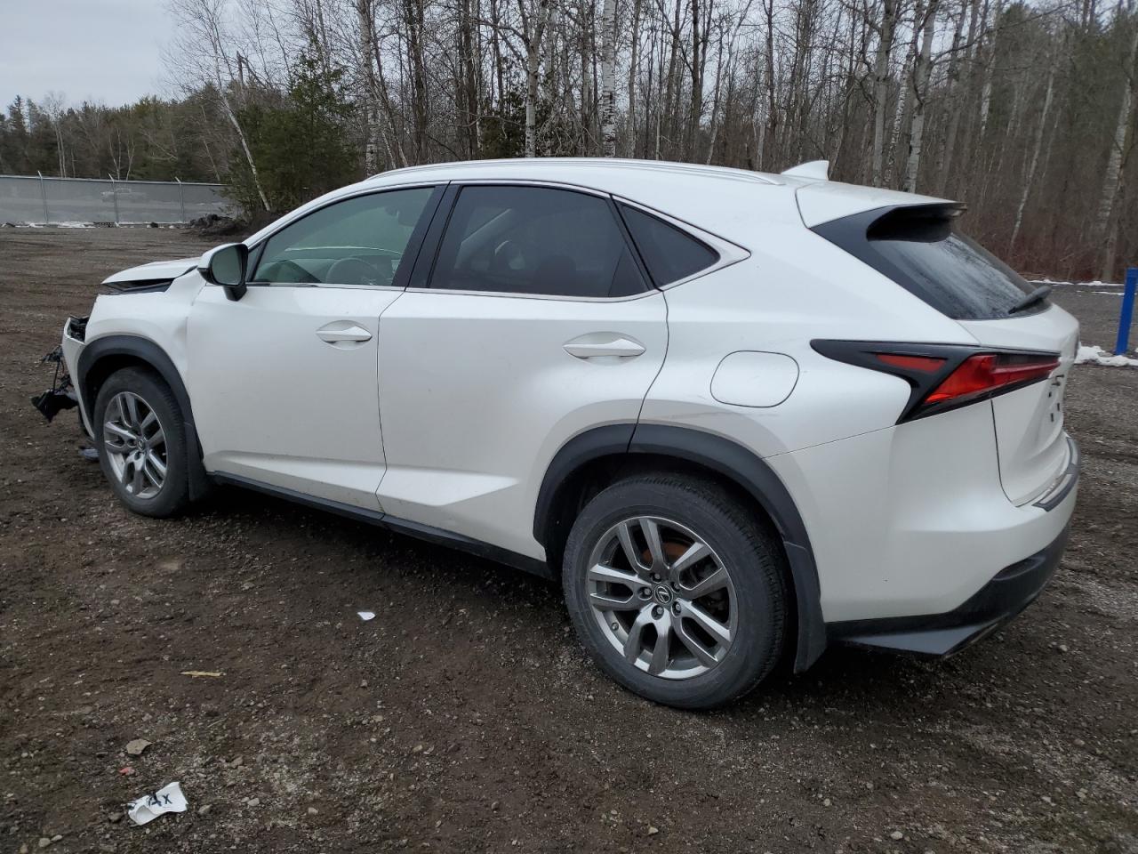 Photo 1 VIN: JTJGARDZXM5020366 - LEXUS NX 