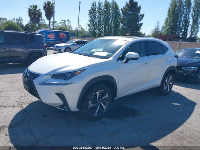 Photo 1 VIN: JTJGARDZXM5029147 - LEXUS NX 300 