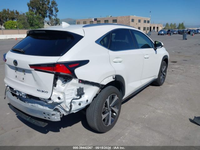 Photo 3 VIN: JTJGARDZXM5029147 - LEXUS NX 300 