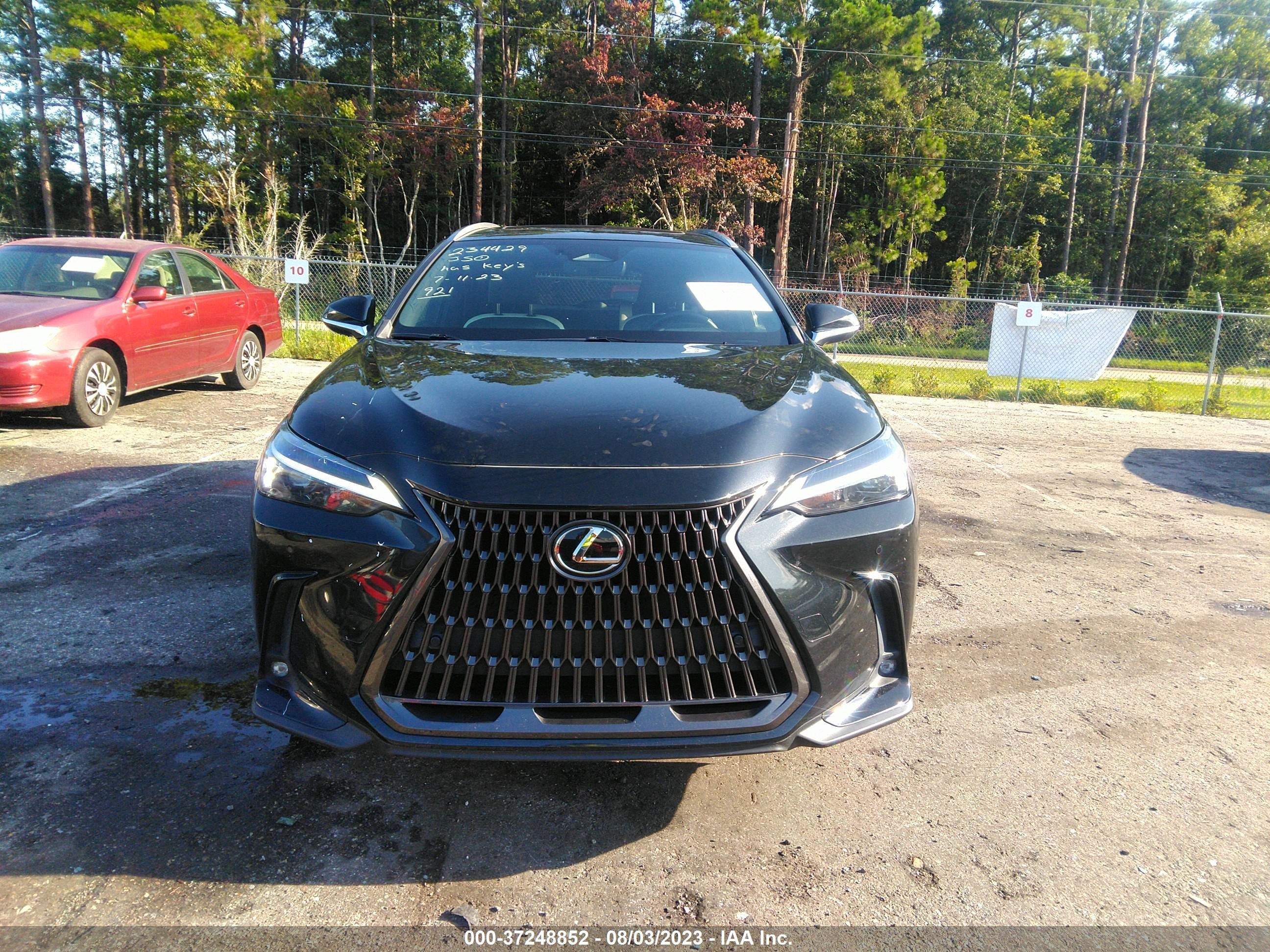 Photo 11 VIN: JTJGDCAZ0N5000640 - LEXUS NX 