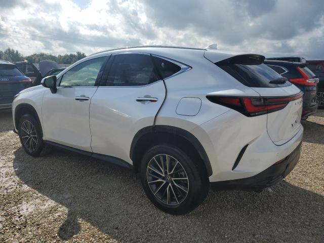 Photo 1 VIN: JTJGDCAZ2P5009827 - LEXUS NX 250 