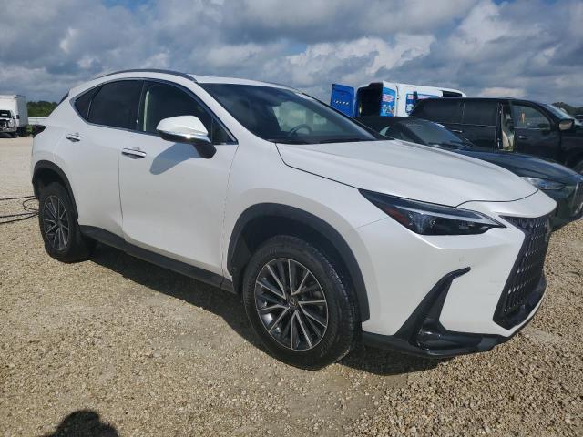 Photo 3 VIN: JTJGDCAZ2P5009827 - LEXUS NX 250 