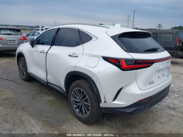 Photo 2 VIN: JTJGDCAZ2R5022127 - LEXUS NX 250 