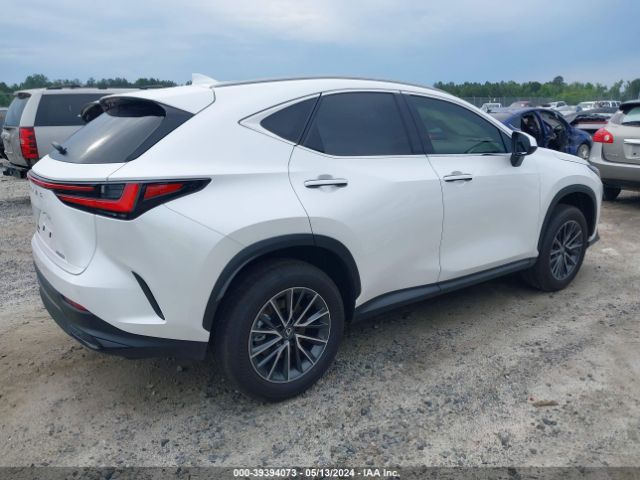 Photo 3 VIN: JTJGDCAZ2R5022127 - LEXUS NX 250 