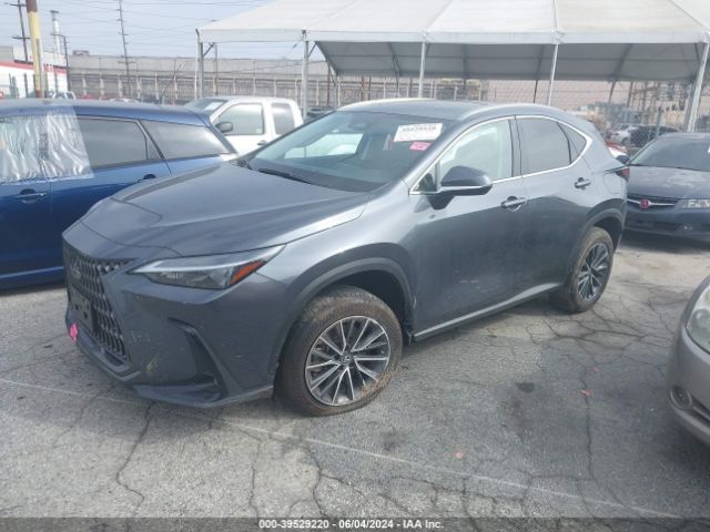 Photo 1 VIN: JTJGGCEZ0P5004997 - LEXUS NX 