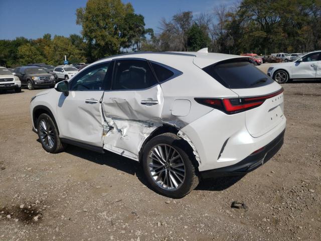 Photo 1 VIN: JTJGGCEZ2N5002083 - LEXUS NX 350 