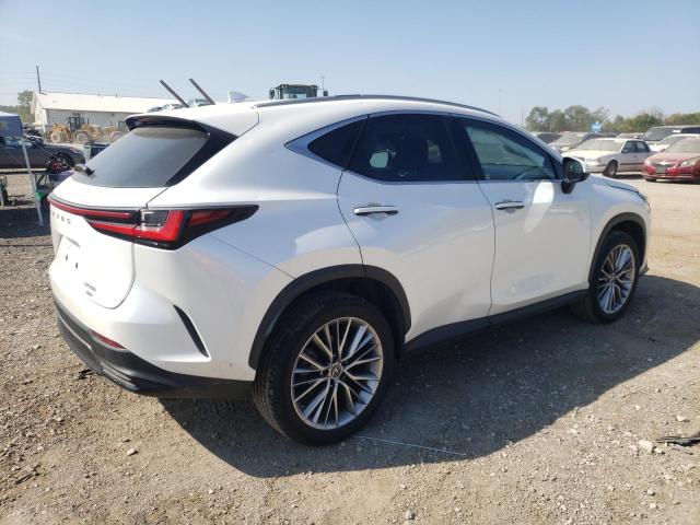 Photo 2 VIN: JTJGGCEZ2N5002083 - LEXUS NX 350 