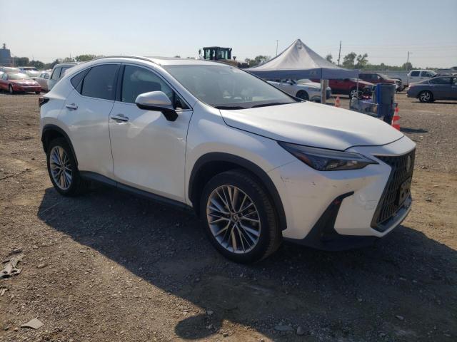 Photo 3 VIN: JTJGGCEZ2N5002083 - LEXUS NX 350 