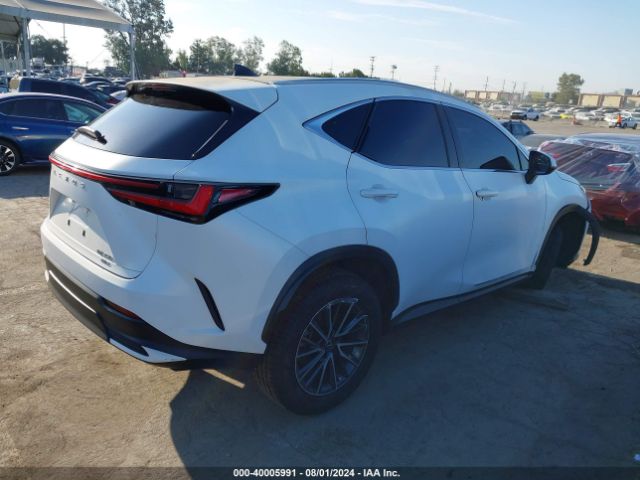 Photo 3 VIN: JTJGGCEZ3N2005530 - LEXUS NX 