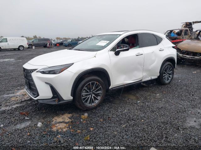 Photo 1 VIN: JTJGGCEZ3R5009615 - LEXUS NX 