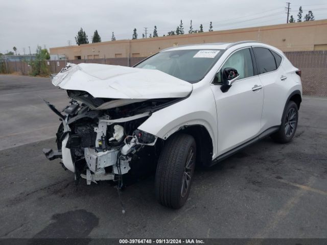 Photo 1 VIN: JTJGGCEZ6R5009799 - LEXUS NX 