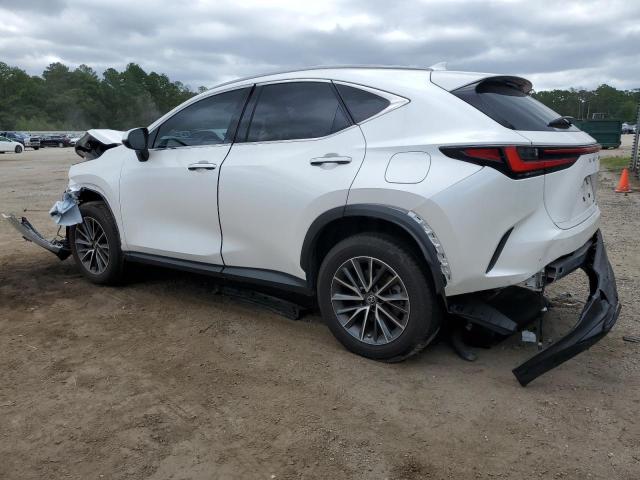 Photo 1 VIN: JTJGGCEZ8P5005024 - LEXUS NX 350 