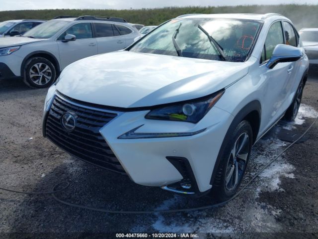 Photo 1 VIN: JTJGJRDZ0M2158841 - LEXUS NX 