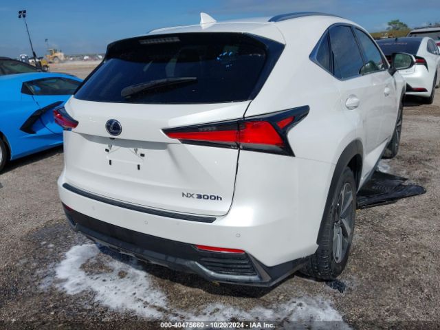 Photo 3 VIN: JTJGJRDZ0M2158841 - LEXUS NX 