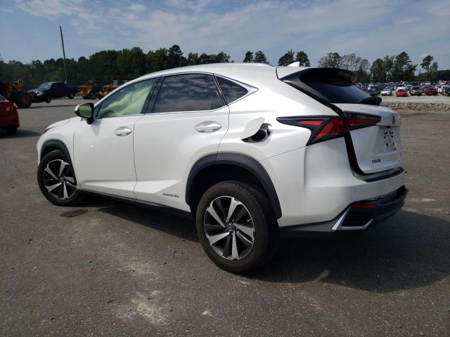 Photo 1 VIN: JTJGJRDZ0M2166941 - LEXUS NX 