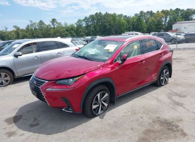 Photo 1 VIN: JTJGJRDZ0M5013748 - LEXUS NX 